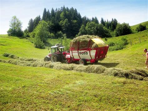 Farming in Switzerland