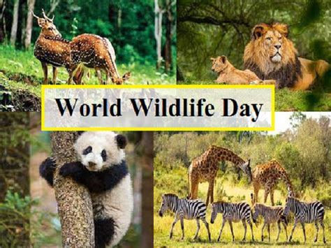 World Wildlife Day 2022: Know Theme, History, Significance, and Key Facts here