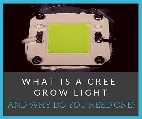 What Is a Cree Grow Light and Why You Need One - Best LED Grow Lights Info