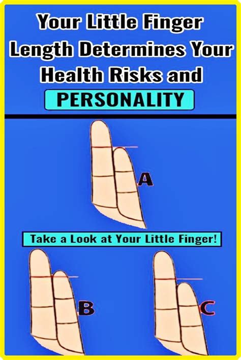 Your little finger length determines your health risks and personality – Artofit