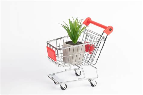 Green plant in shopping cart - Creative Commons Bilder