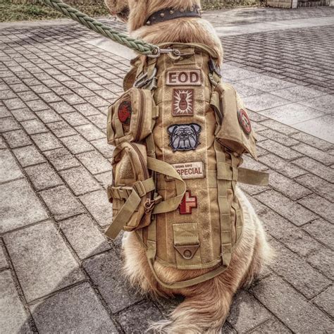 Dog Body Armor Pet USMC Vest Preserver Fashion Multi function Field ...