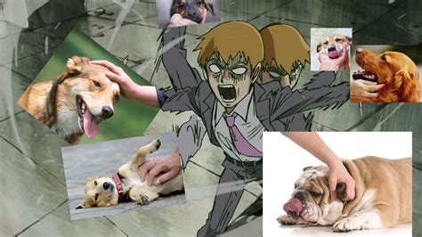 🌸 Azu ʕ·ᴥ·ʔ 🌸 @ Japan on Twitter: "The dog petting meme made me think ...