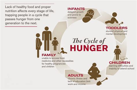 Baariz Health blog: The Cycle of Hunger