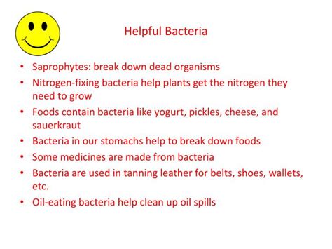 PPT - Helpful and Harmful Bacteria Graphic Organizer PowerPoint Presentation - ID:2637480