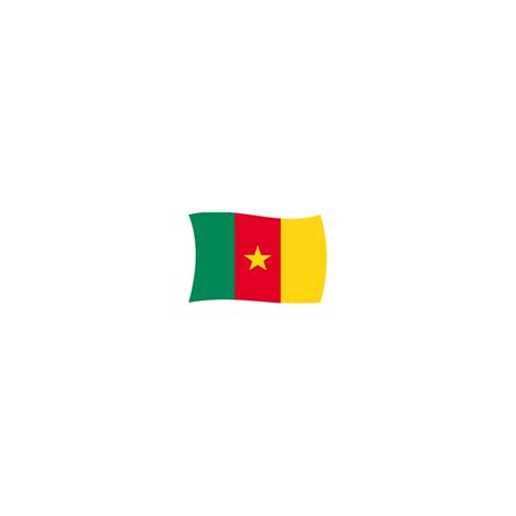 Drapeau Cameroun (100x150)