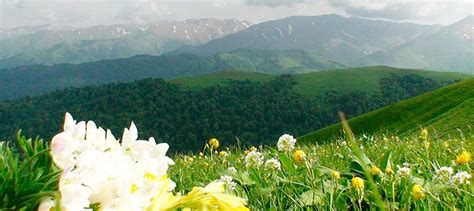 Путешествие в Азербайджан - The climate of Azerbaijan - Travel in ...