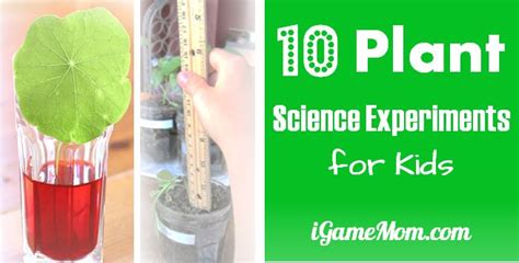 10 Plant Science Experiments for Kids