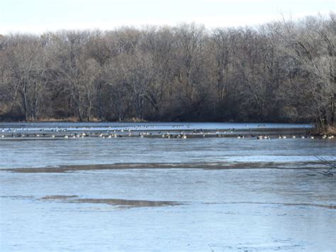 Big Bend State Fish & Wildlife Area South Marsh Restoration – Business ...