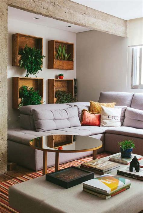 Plantas Para Sala: Principais Espécies + 60 Fotos de Decoração