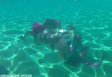 Mermaid Swimming GIF - Find & Share on GIPHY