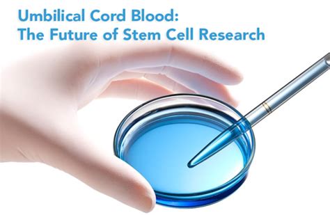 Umbilical Cord Blood: The Future of Stem Cell Research