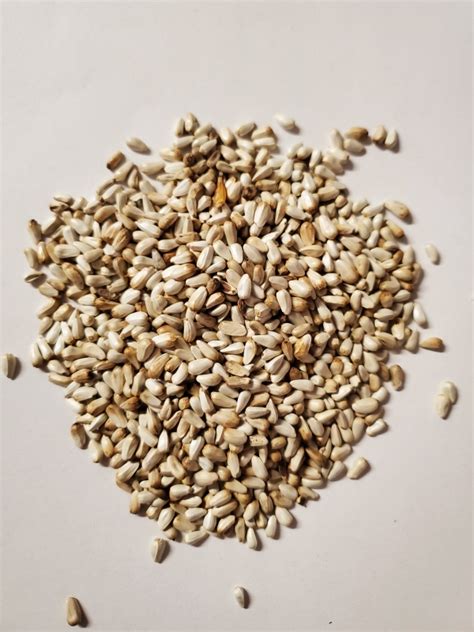 Safflower Seed - Pleasant Hill Pet & Livestock