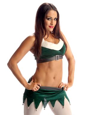 Nikki Bella - WWE Divas Photo (27759120) - Fanpop