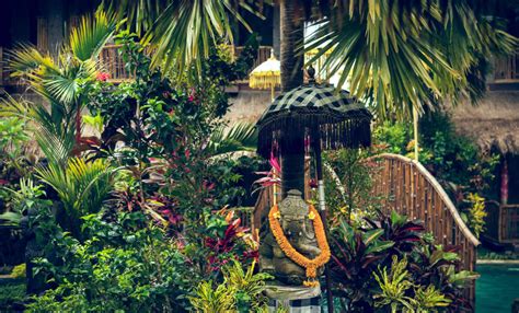 Everything You Need to Know About the Culture and Traditions in Bali