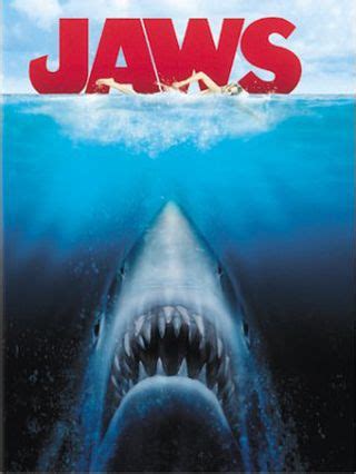 The Truth About Great White Sharks, 30 Years After 'Jaws' | Live Science