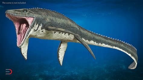 ArtStation - Mosasaurus Rigged 3D model