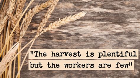 THE HARVEST IS PLENTIFUL, BUT THE WORKERS ARE FEW | Deer Flat Church