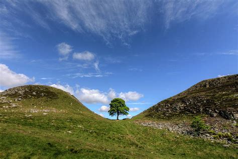 Sycamore Gap - England #4 Photograph by Joana Kruse - Fine Art America