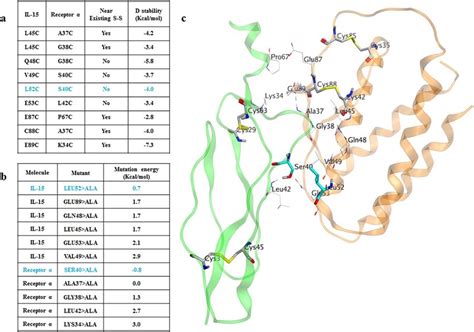 Structure-based inter-molecular disulfide bond design. (a) Selected... | Download Scientific Diagram