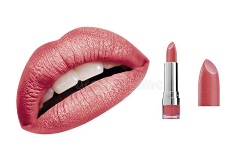 New Lipstick And Crimson Flowers Stock Photo - Image of isolated, silken: 41665338