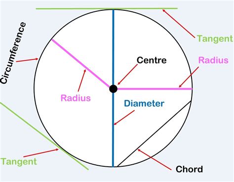 Area And Circumference Of A Circle Worksheet Pdf Circles — db-excel.com