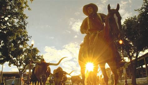 Texas celebrates cowboy culture with anniversary famous cattle route