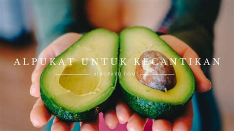 5 Manfaat Buah Alpukat Untuk Kecantikan dan Kesehatan Kulit Wajah