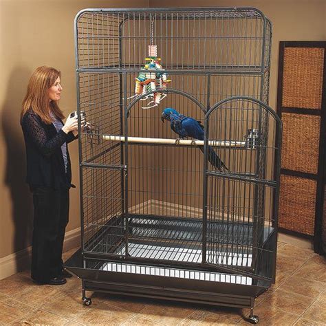 Best 5 Prevue Bird Cages Review for your Fluffy Parrot in 2021 | Macaw ...