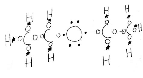 Lewis Structure - The Diethyl Ether Molecule