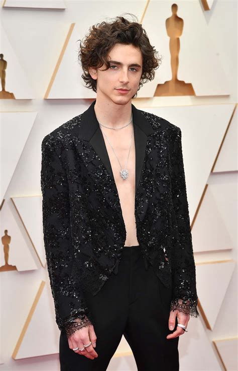 Timothee Chalamet Goes Shirtless at the Oscars - Big World Tale