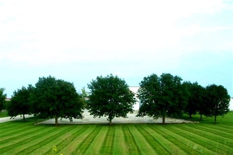 How to Stripe a Lawn with a Riding Mower: Do this – Garden Tool Expert Store