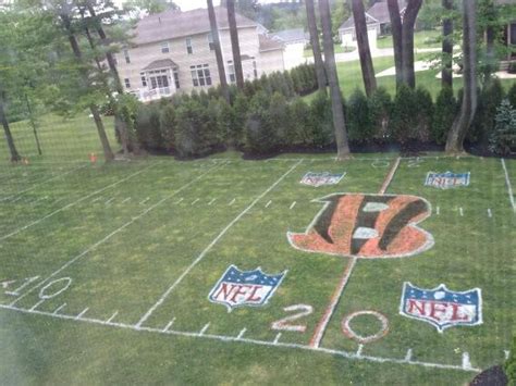 The Backyard Football Field - renewren