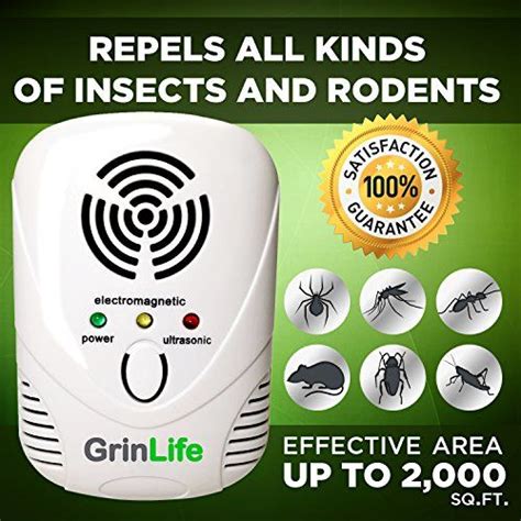 A brief overview of natural cockroach repellents – Artofit