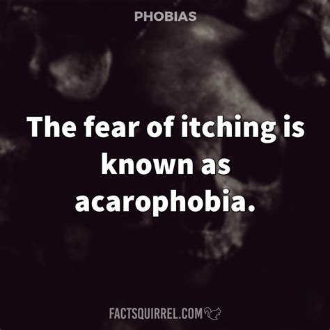 The fear of itching is known as acarophobia - FactSquirrel