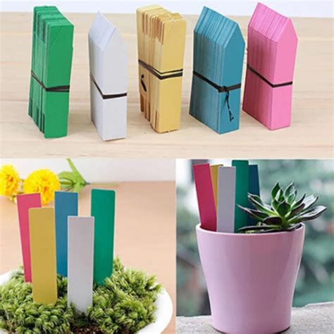 100 PCS Reusable PVC Plants Hang Tag Labels Tree Fruits Seedling Garden Flower Pot Plastic Tags ...