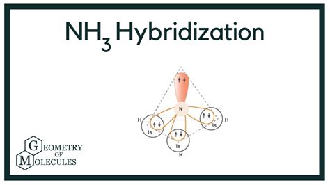 The Compound Nh3 Is Classified as Which of the Following - Bailey-has-Hughes