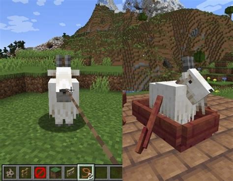 Minecraft Goats: Everything You Need to Know (2022) | Beebom