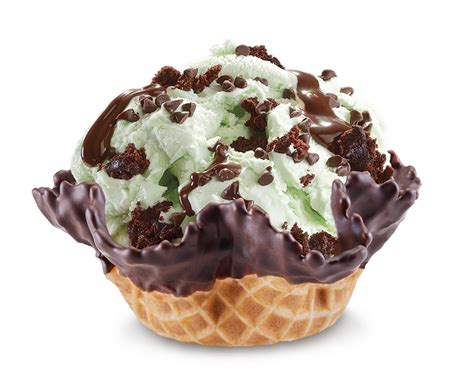 Cold Stone Creamery Mint Mint Chocolate Chip Ice Cream