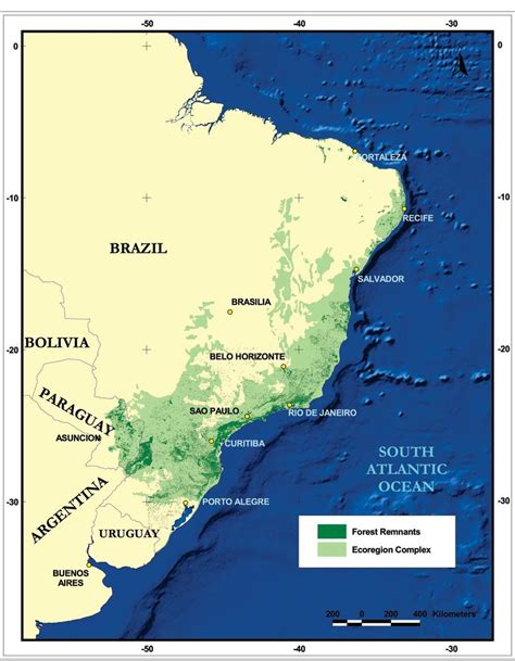 Forest Remnants of the Atlantic Forests Global 200 Ecoregion | Download Scientific Diagram