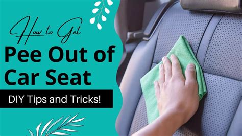 How to Get Pee Out of Car Seat? DIY Tips and Tricks! - YouTube