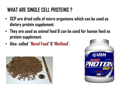 Single cell protein