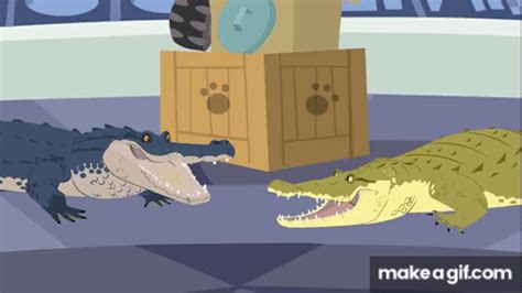 American Alligator Vs. American Crocodile - Wild Kratts on Make a GIF