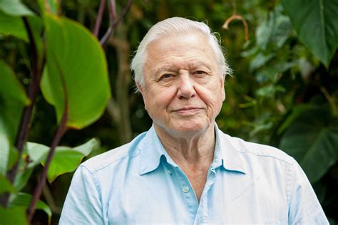 The "selfish thing" David Attenborough says needs to stop - Rainforest 4