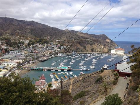 THE 15 BEST Things to Do in Avalon - 2023 (with Photos) - Tripadvisor