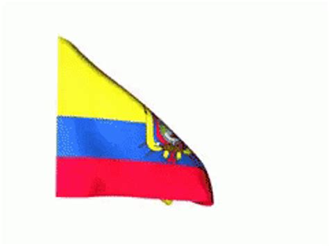 Ecuador Ecuatoriano Golden Eagle GIF | GIFDB.com