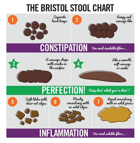 an overview of the bristol stool chart - what your stool says about your health piedmont ...