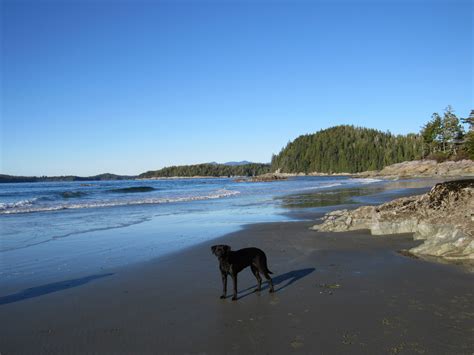 Off the beaten path in Tofino… Tonquin Beach Trail | MJ Explores