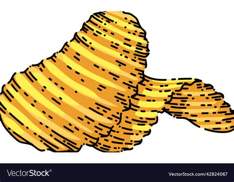 Potato chips sketch hand drawn Royalty Free Vector Image