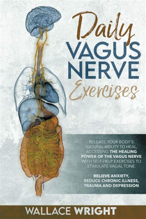 Buy DAILY VAGUS NERVE EXERCISES: ACCESSING THE HEALING POWER OF THE ...